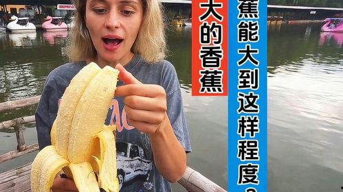 国产视频大香蕉,揭秘国内影视产业的魅力与挑战  第2张